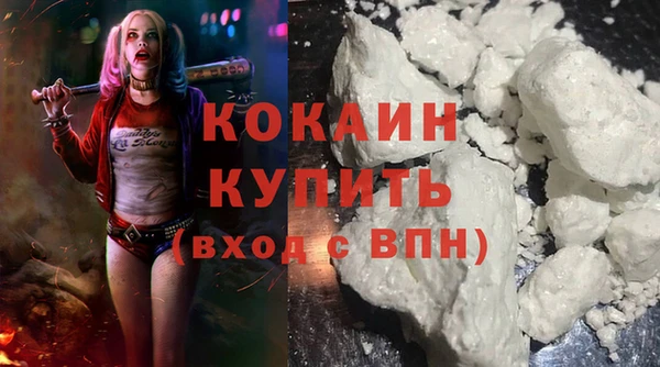 ПСИЛОЦИБИНОВЫЕ ГРИБЫ Верея