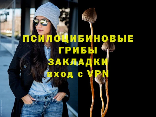 ПСИЛОЦИБИНОВЫЕ ГРИБЫ Верея