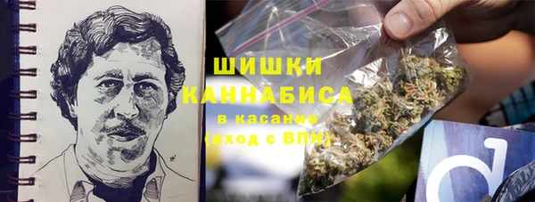ПСИЛОЦИБИНОВЫЕ ГРИБЫ Верея
