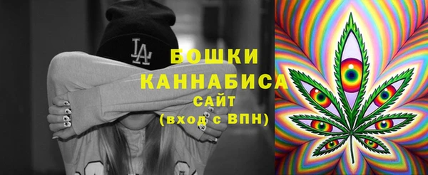 мдпв Билибино