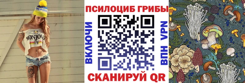 Псилоцибиновые грибы Psilocybine cubensis Вилюйск