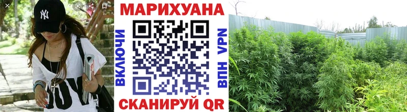 Канабис Amnesia Вилюйск